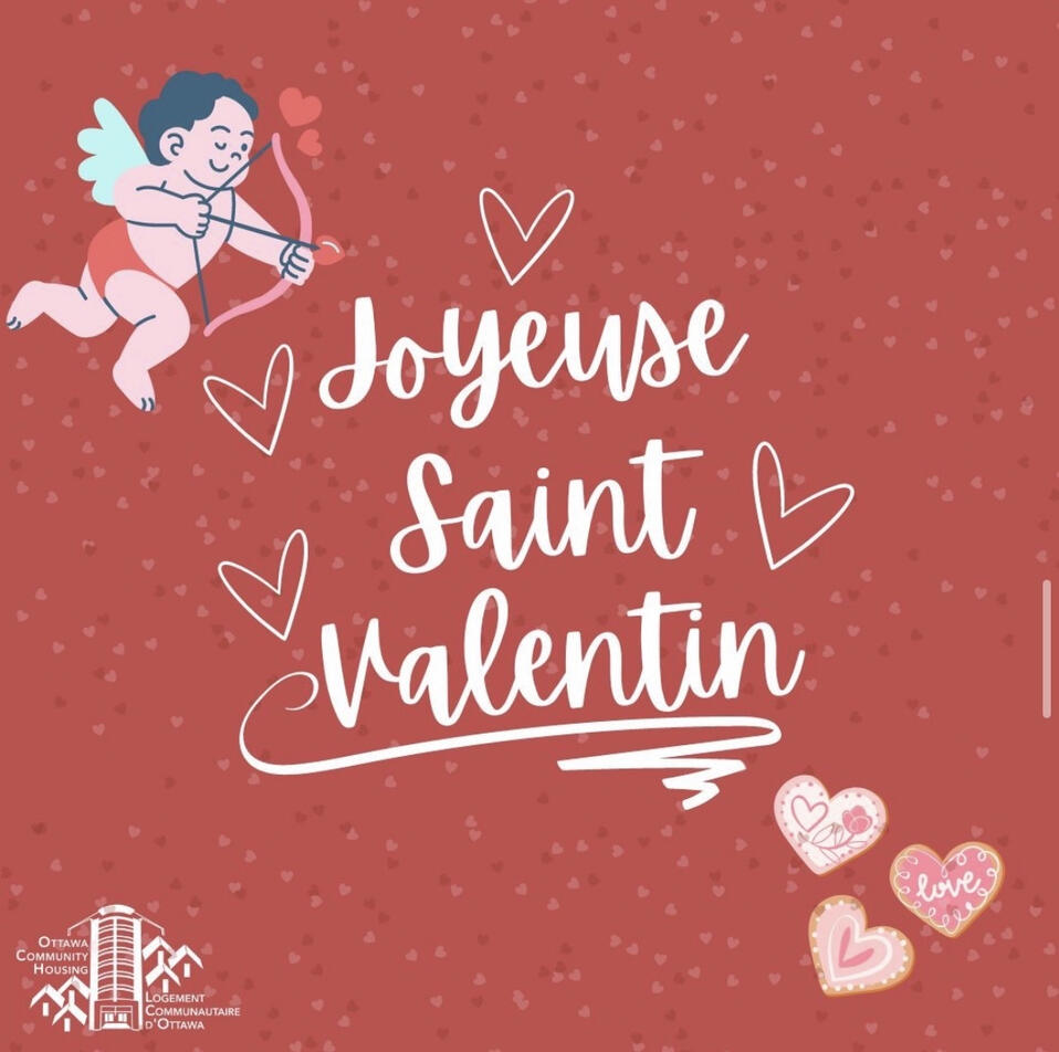 Valentines Day Instagram Social post (French)